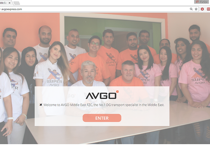 Avgo Middle East Website